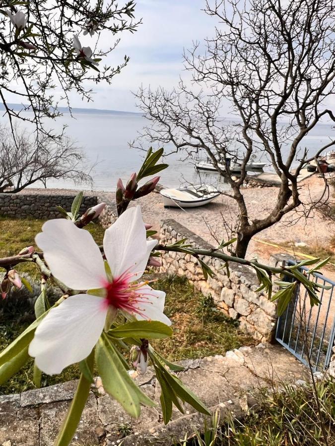 Apartmani Tin Starigrad Paklenica Bagian luar foto